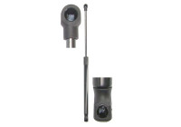 Gas spring, trunk