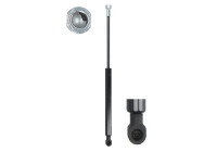 Gas spring, trunk