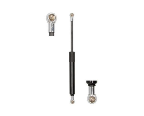 Gas spring, trunk