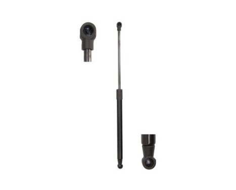 Gas spring, trunk