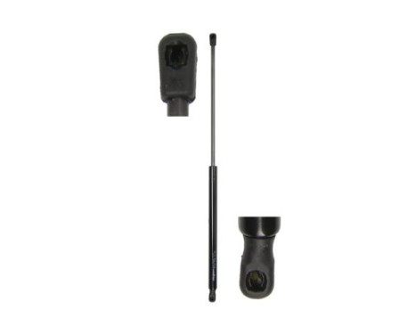 Gas spring, trunk