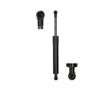 Gas spring, trunk