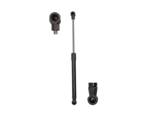 Gas spring, trunk