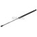 Gas spring, trunk