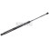 Gas spring, trunk, Thumbnail 2