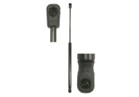 Gas spring, trunk