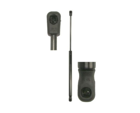 Gas spring, trunk