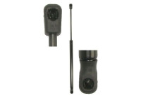 Gas spring, trunk