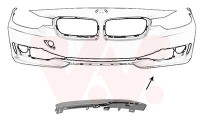 Decoration / Protection panel, radiator grille