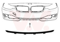 Decoration / Protection panel, radiator grille