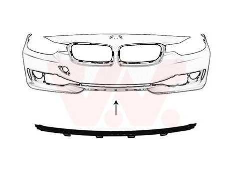 Decoration / Protection panel, radiator grille