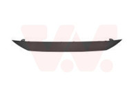 Decoration / Protection panel, radiator grille