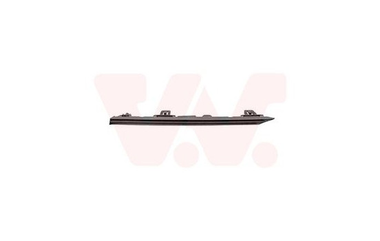 Decoration / Protection panel, radiator grille