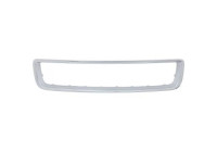 Decoration / Protection panel, radiator grille