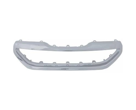 Decoration / Protection panel, radiator grille