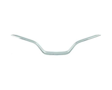 Decoration / Protection panel, radiator grille