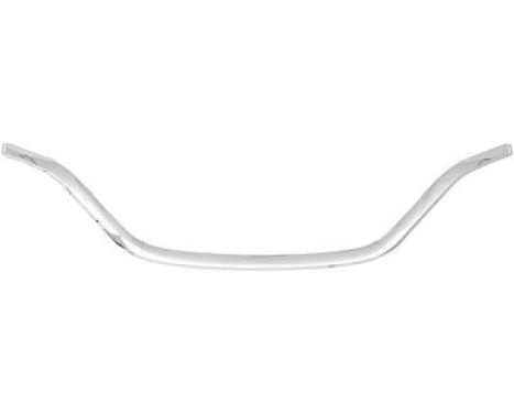 Decoration / Protection panel, radiator grille