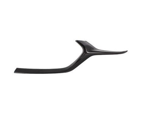 Decoration / Protection panel, radiator grille