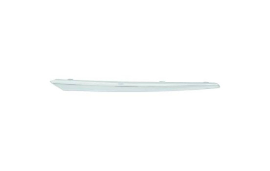 Decoration / Protection panel, radiator grille