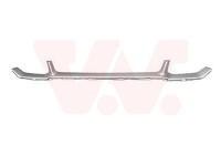 Decorative/protection panel, bumper