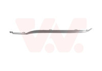 Decorative/protection panel, bumper