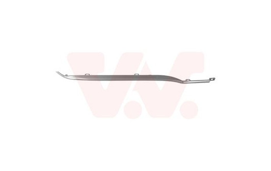 Decorative/protection panel, bumper