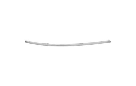 Decorative/protection panel, bumper