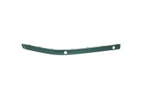 Decorative/protection panel, bumper