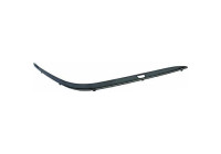 Decorative/protection panel, bumper