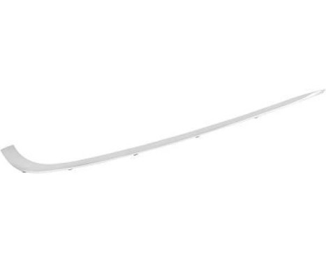 Decorative/protection panel, bumper