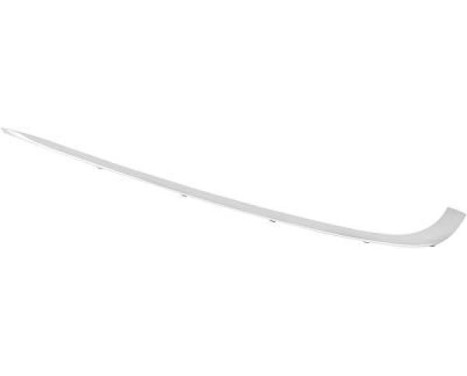 Decorative/protection panel, bumper