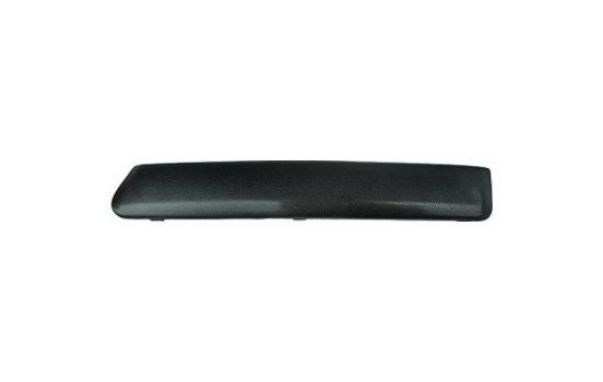 Decorative/protection panel, bumper