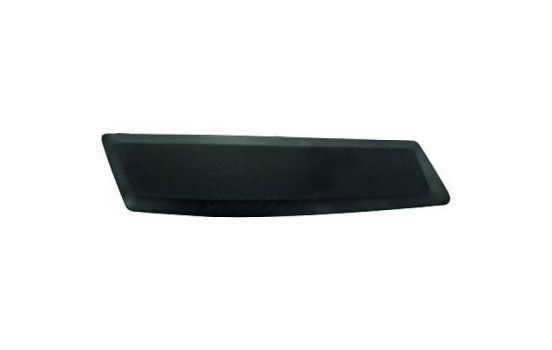 Decorative/protection panel, bumper