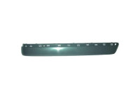 Decorative/protection panel, bumper