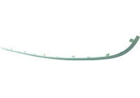 Decorative/protection panel, bumper