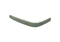 Decorative/protection panel, bumper