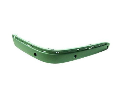 Decorative/protection panel, bumper