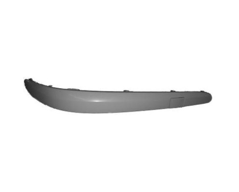 Decorative/protection panel, bumper