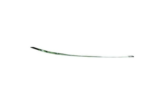 Decorative/protection panel, bumper