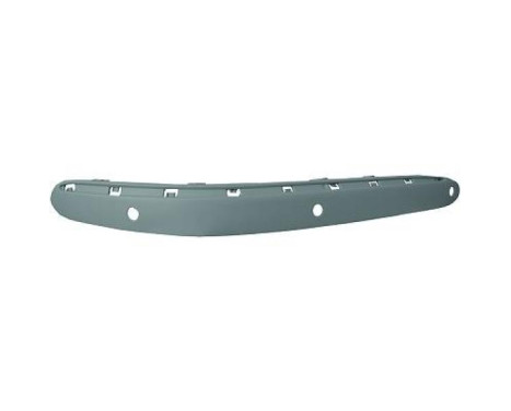 Decorative/protection panel, bumper