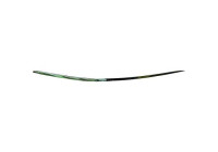 Decorative/protection panel, bumper