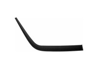 Decorative/protection panel, bumper