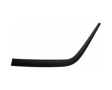 Decorative/protection panel, bumper