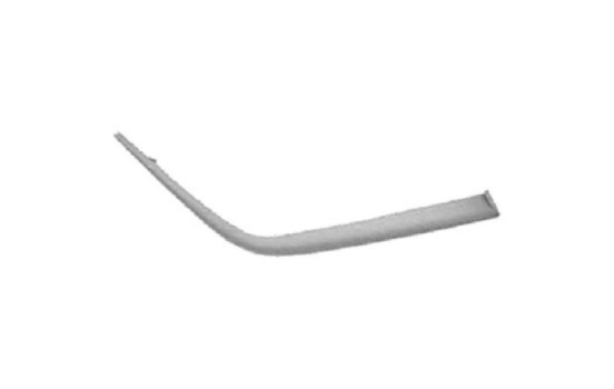 Decorative/protection panel, bumper