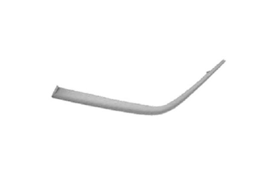 Decorative/protection panel, bumper