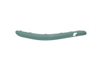 Decorative/protection panel, bumper