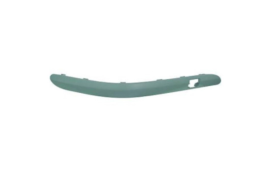 Decorative/protection panel, bumper
