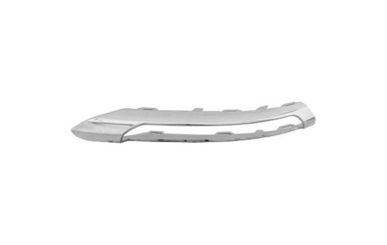 Decorative/protection panel, bumper