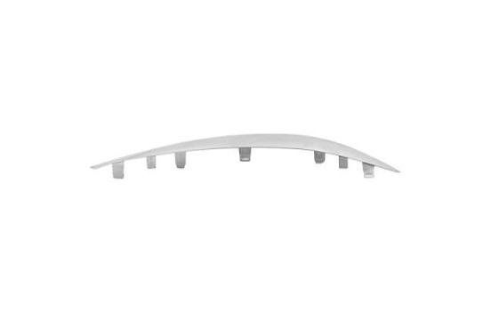 Decorative/protection panel, bumper