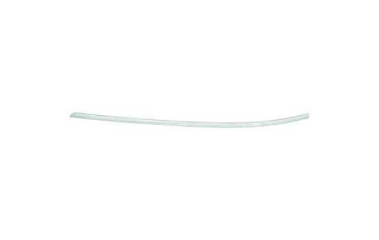 Decorative/protection panel, bumper